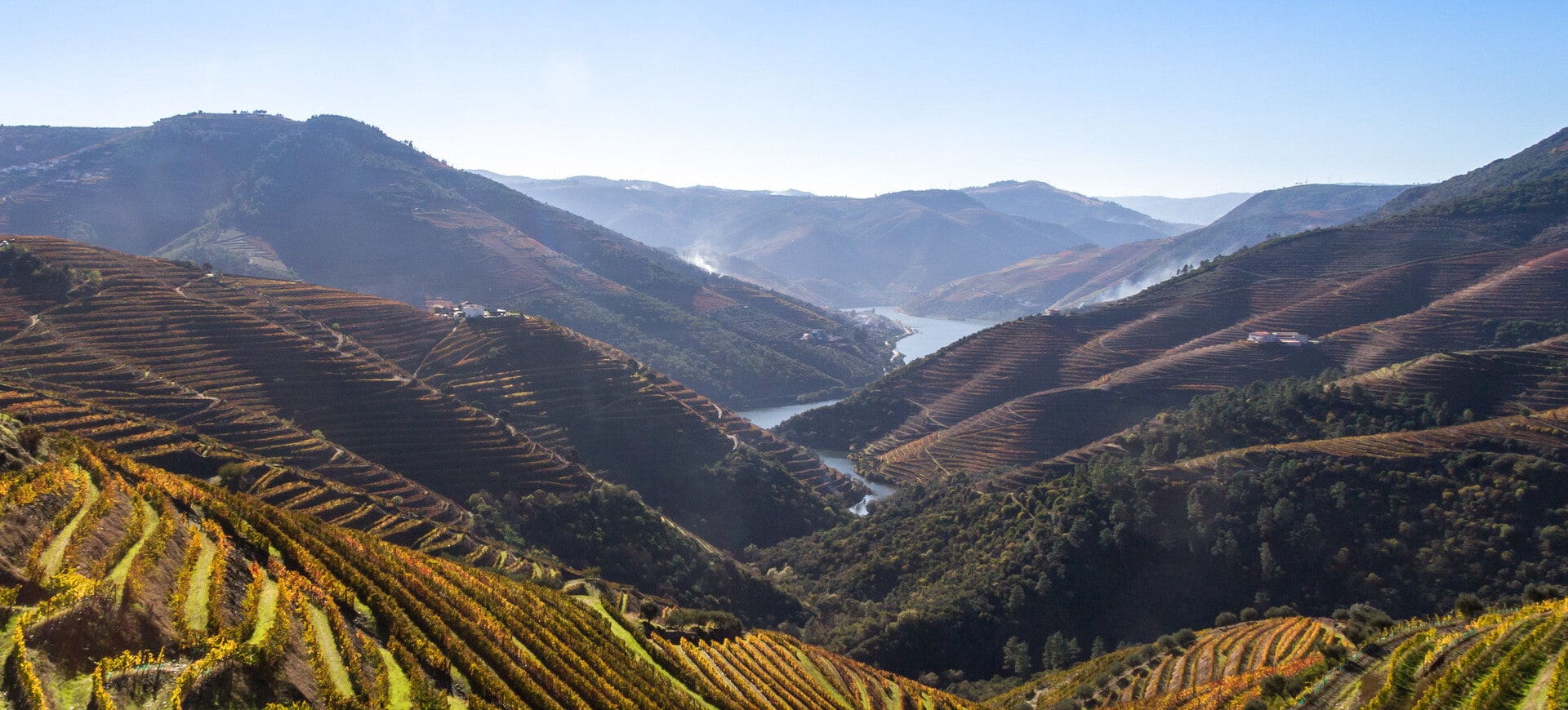 Douro Valley Tours